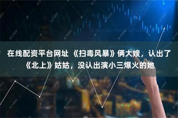 在线配资平台网址 《扫毒风暴》俩大嫂，认出了《北上》姑姑，没认出演小三爆火的她