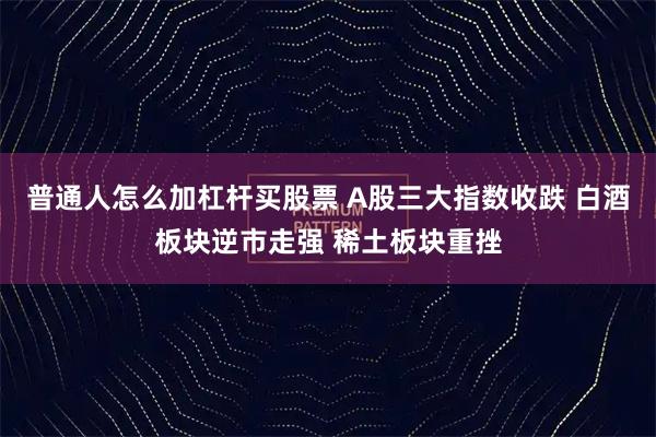 普通人怎么加杠杆买股票 A股三大指数收跌 白酒板块逆市走强 稀土板块重挫