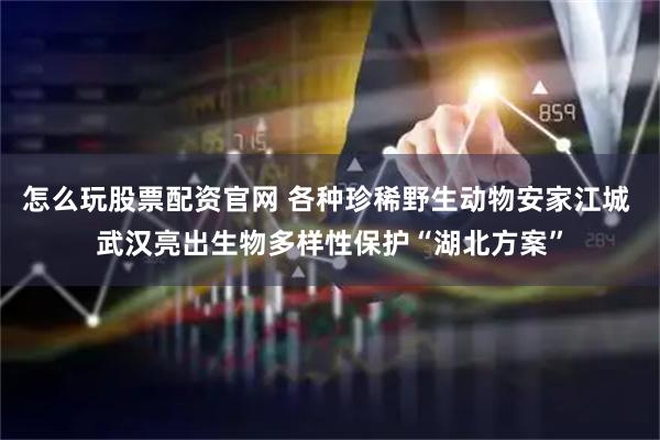 怎么玩股票配资官网 各种珍稀野生动物安家江城 武汉亮出生物多样性保护“湖北方案”